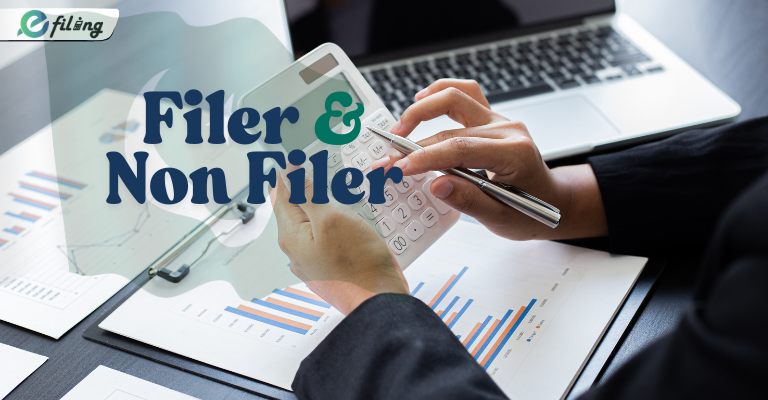 Filer and non filer