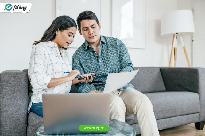 Professional e-filing tax filing